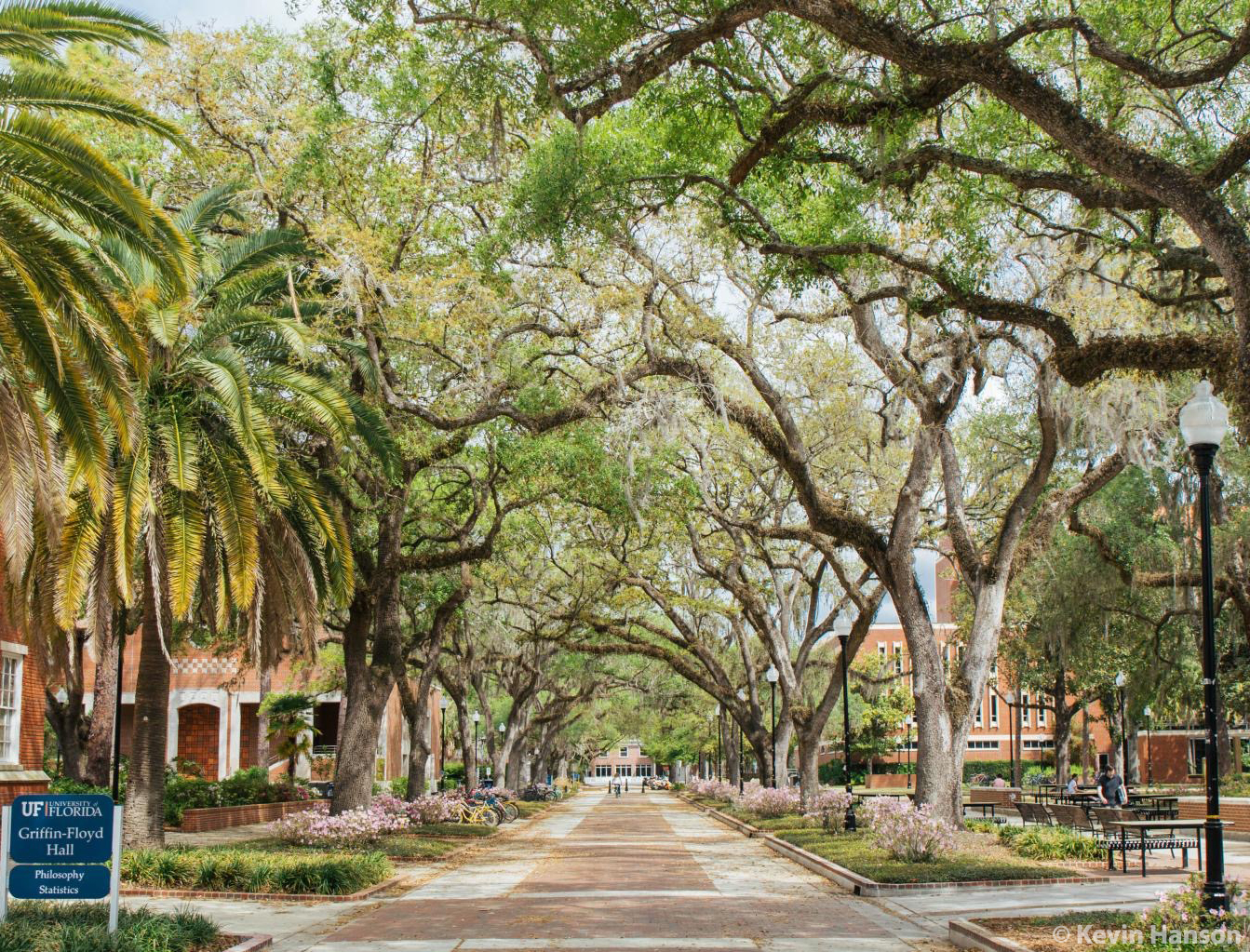 Background image of University of Florida campus near Plaza of the Americas